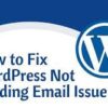 Fix WordPress not Sending Email Error