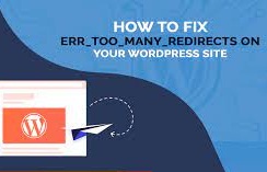 Fix too many redirect in wordpress
