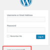 Reset WordPress Password